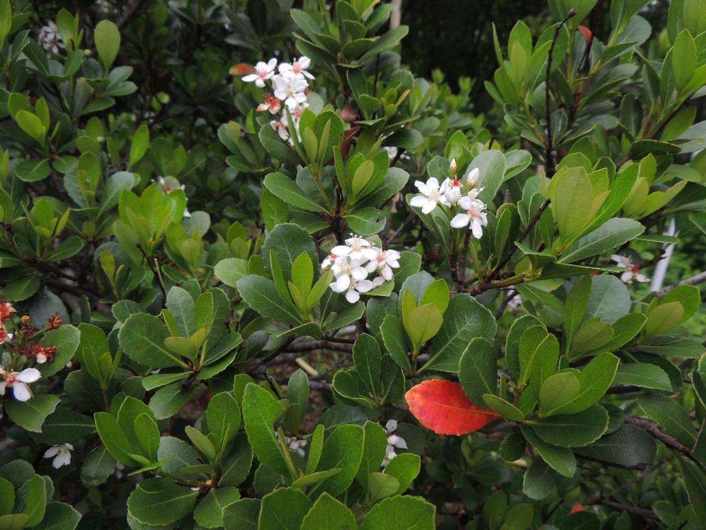 照片5
